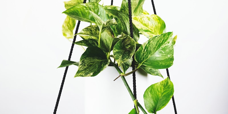 2026世界杯主直播频道演播室现场画面